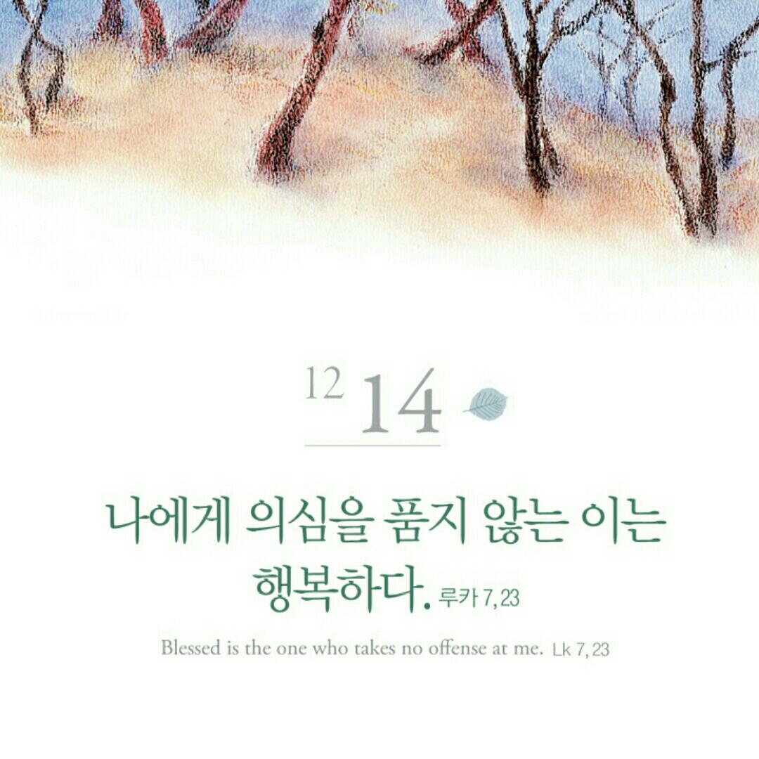 1214.JPG