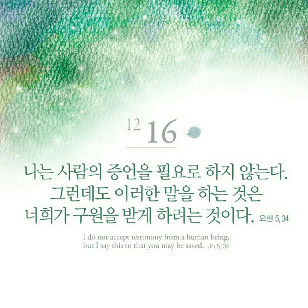 1216.JPG