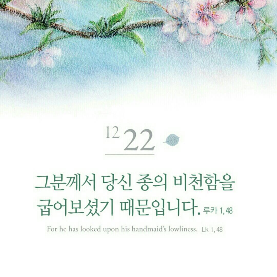 1222.JPG