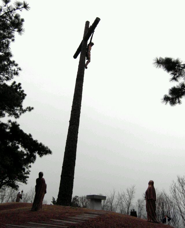 1010.jpg